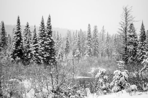 Photo from Reimagining Beringia, mode of travel? Ice age.