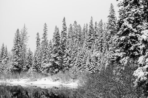Photo from Reimagining Beringia, mode of travel? Ice age.