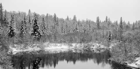 Photo from Reimagining Beringia, mode of travel? Ice age.
