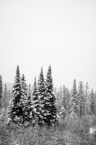 Photo from Reimagining Beringia, mode of travel? Ice age.