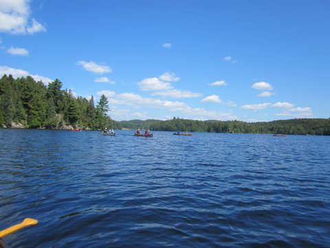 Photo from Canoeing, Big Porcupine Lake, Algonquin