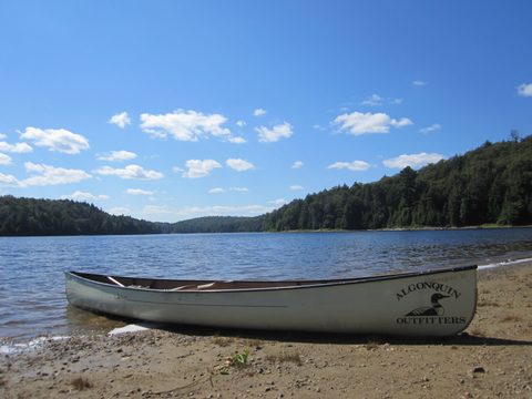 Photo from Canoeing, Big Porcupine Lake, Algonquin