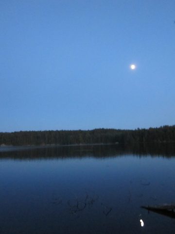 Photo from Canoeing, Big Porcupine Lake, Algonquin
