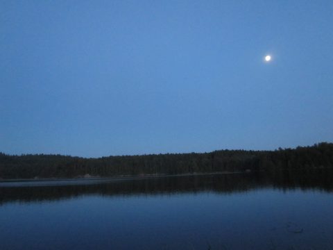 Photo from Canoeing, Big Porcupine Lake, Algonquin