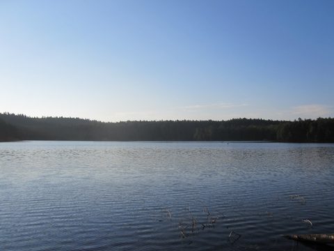 Photo from Canoeing, Big Porcupine Lake, Algonquin