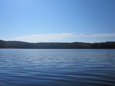 Photo from Canoeing, Big Porcupine Lake, Algonquin