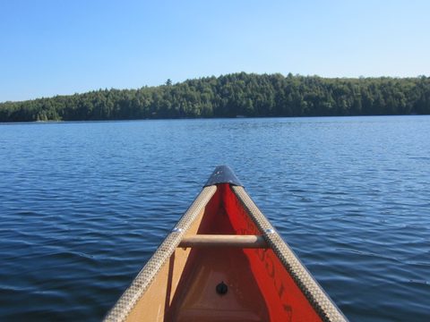 Photo from Canoeing, Big Porcupine Lake, Algonquin