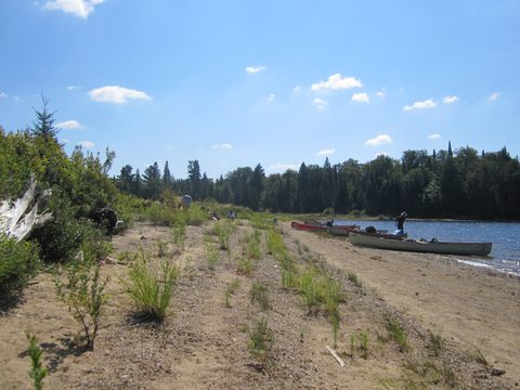 Photo from Canoeing, Big Porcupine Lake, Algonquin