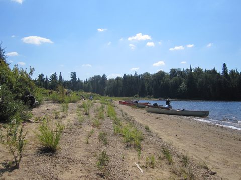 Photo from Canoeing, Big Porcupine Lake, Algonquin