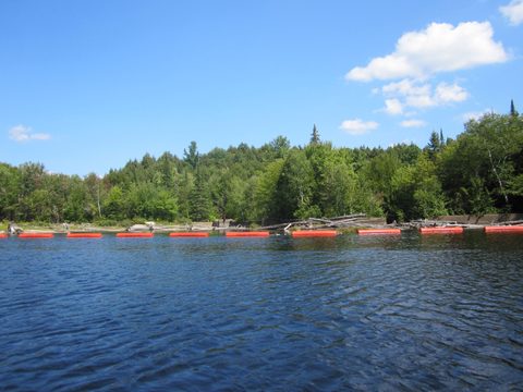 Photo from Canoeing, Big Porcupine Lake, Algonquin
