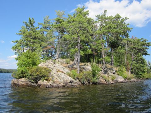 Photo from Canoeing, Big Porcupine Lake, Algonquin