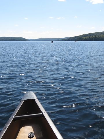 Photo from Canoeing, Big Porcupine Lake, Algonquin