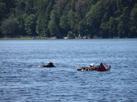 Photo from Canoeing, Big Porcupine Lake, Algonquin