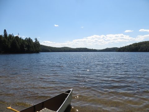 Photo from Canoeing, Big Porcupine Lake, Algonquin