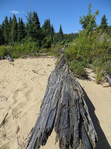 Photo from Canoeing, Big Porcupine Lake, Algonquin