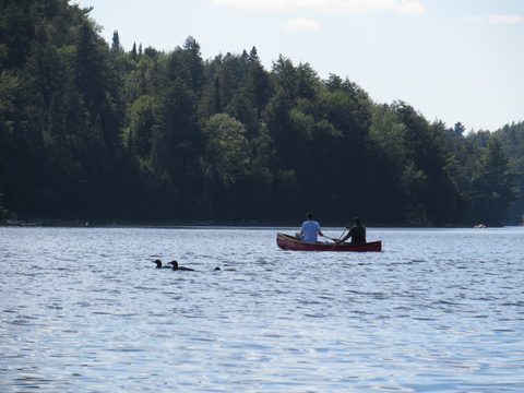 Photo from Canoeing, Big Porcupine Lake, Algonquin