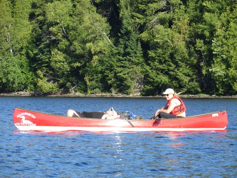 Photo from Canoeing, Big Porcupine Lake, Algonquin