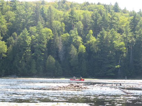 Photo from Canoeing, Big Porcupine Lake, Algonquin