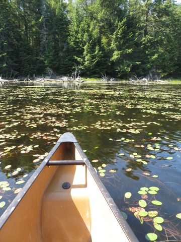 Photo from Canoeing, Big Porcupine Lake, Algonquin