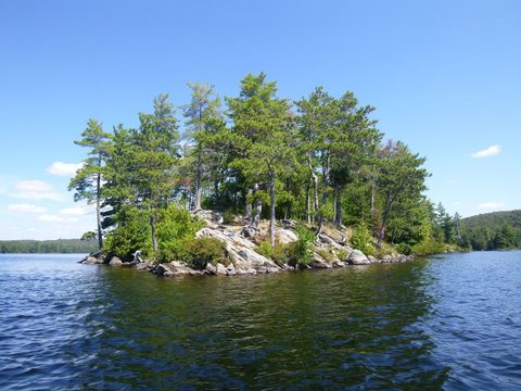 Photo from Canoeing, Big Porcupine Lake, Algonquin