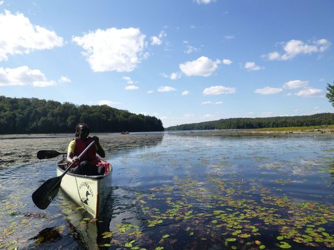 Photo from Canoeing, Big Porcupine Lake, Algonquin